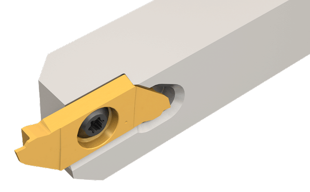 SCHR 10-22BF