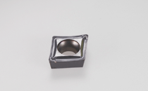 CPGT 060204-SM