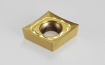 CCGT 060202-AS