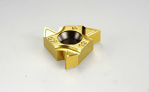 16ERM G 60         IC250